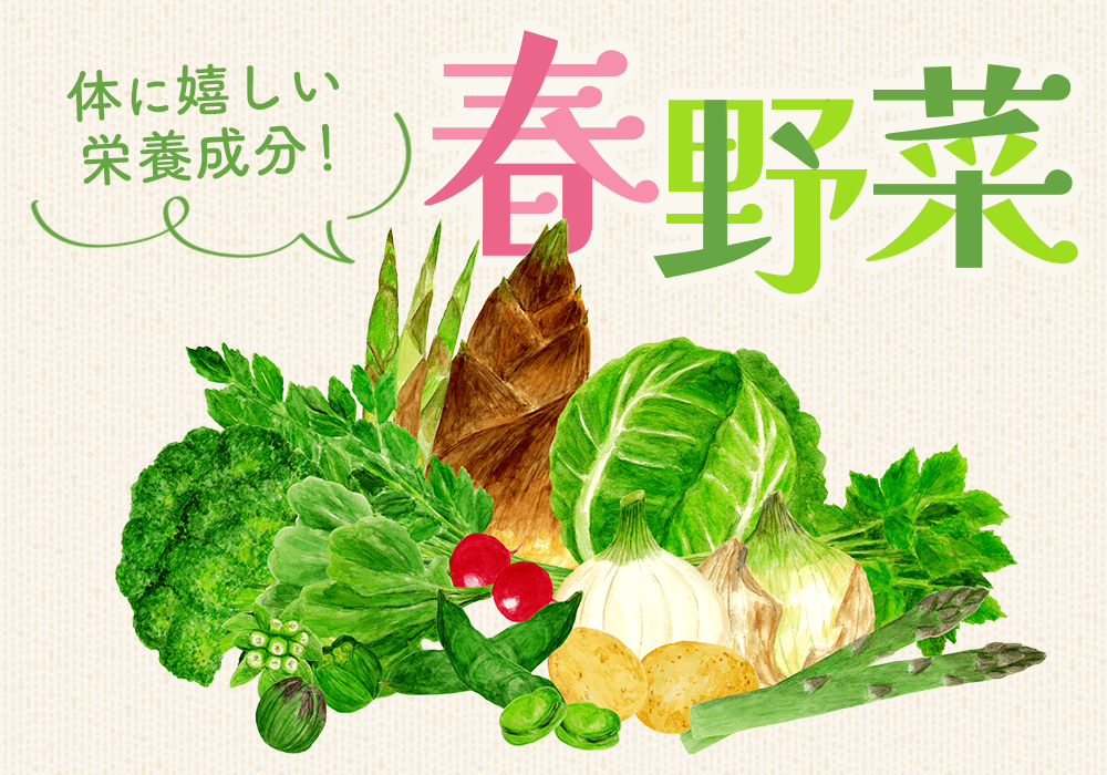 春野菜の栄養をおいしく取り入れるコツ|旬の味がカラダにいい理由も解説
