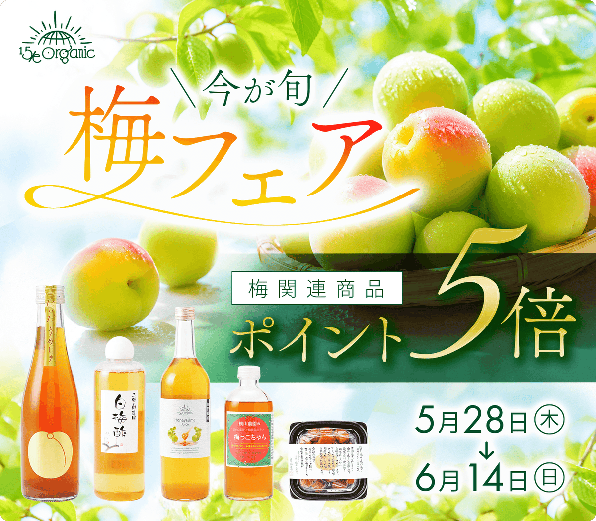 梅フェア！ポイント5倍｜15/e organic – 15/e organic