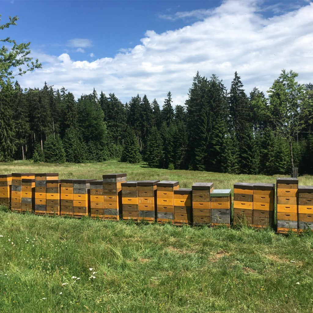 【15/e organic】Organic Acacia Honey 300g / 500g