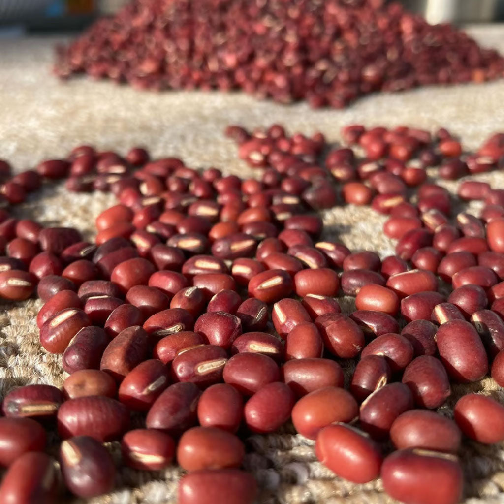 【にじいろ農園】エリモ小豆 200g