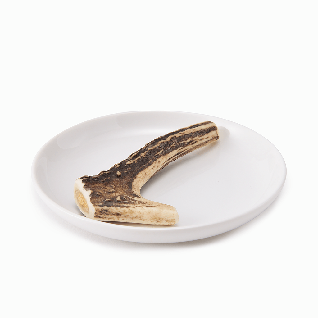 SHIRO'S PET PRODUCTS】ペットのおやつ Honshu Deer Antlers（本州鹿の