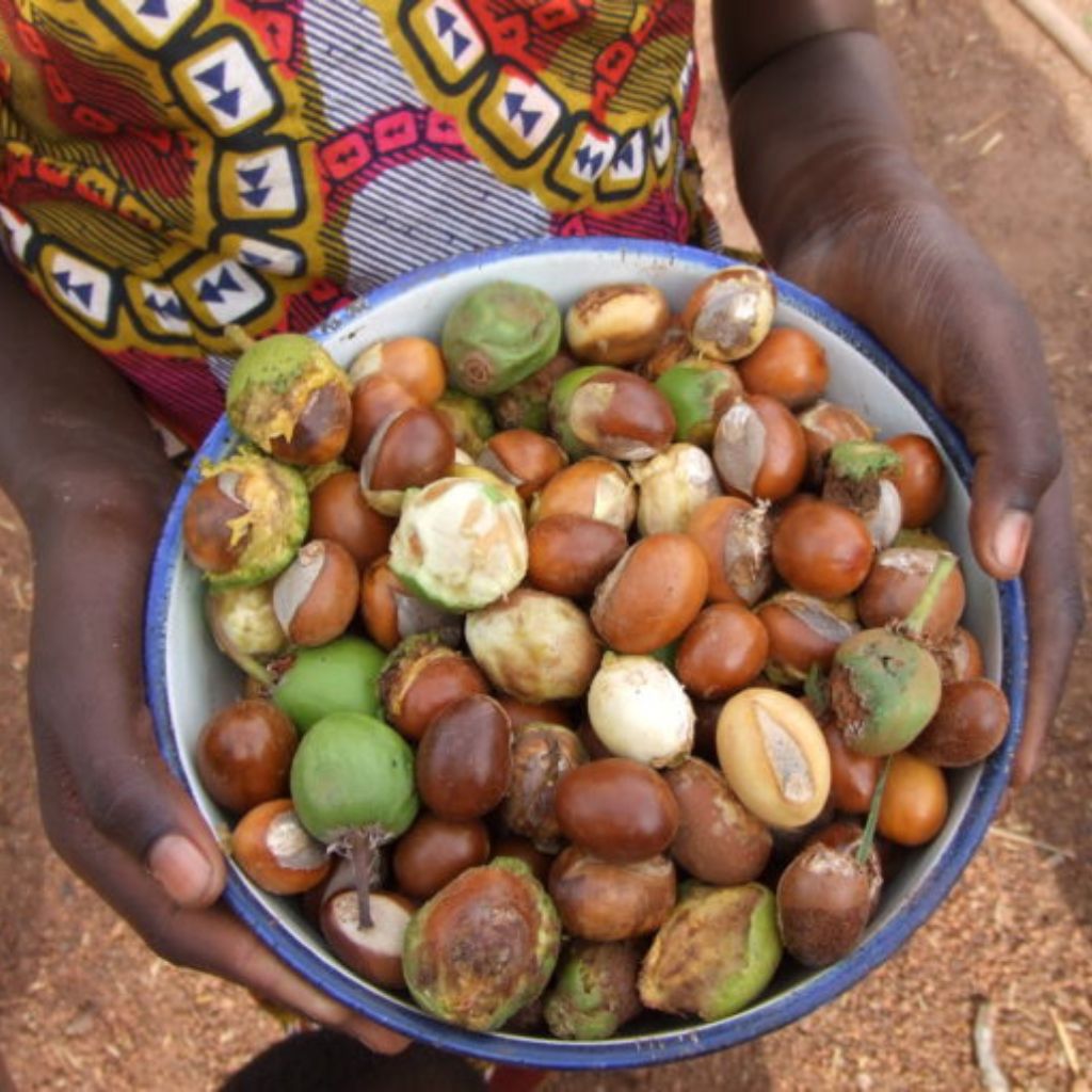 【SKIN GOURMET】バオバブ&シアバター ボディクリーム