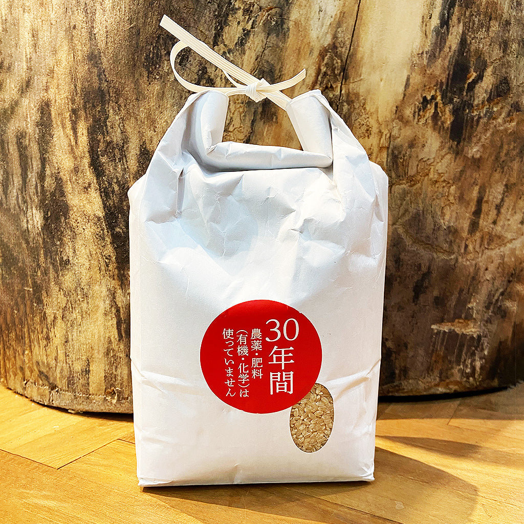 【杉本一詩】2023年朝日 玄米(静岡県産)450g/1kg/2kg