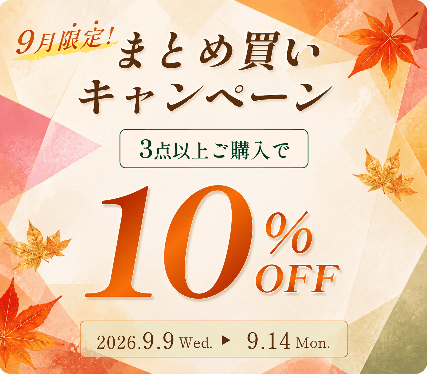 【6日間限定✨】＼3点以上ご購入で全品10％OFF／おまとめ買いキャンペーン開催！！