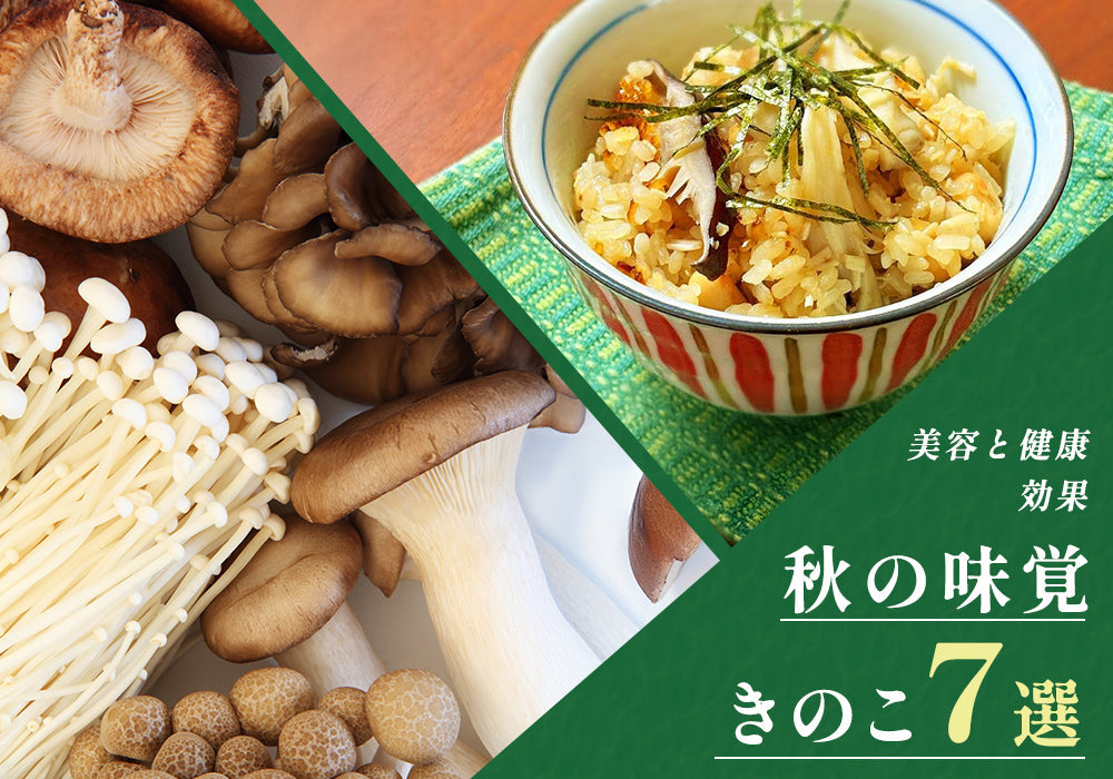 7種類のきのこを徹底解説！ 食物繊維とカリウムがダイエットをサポート