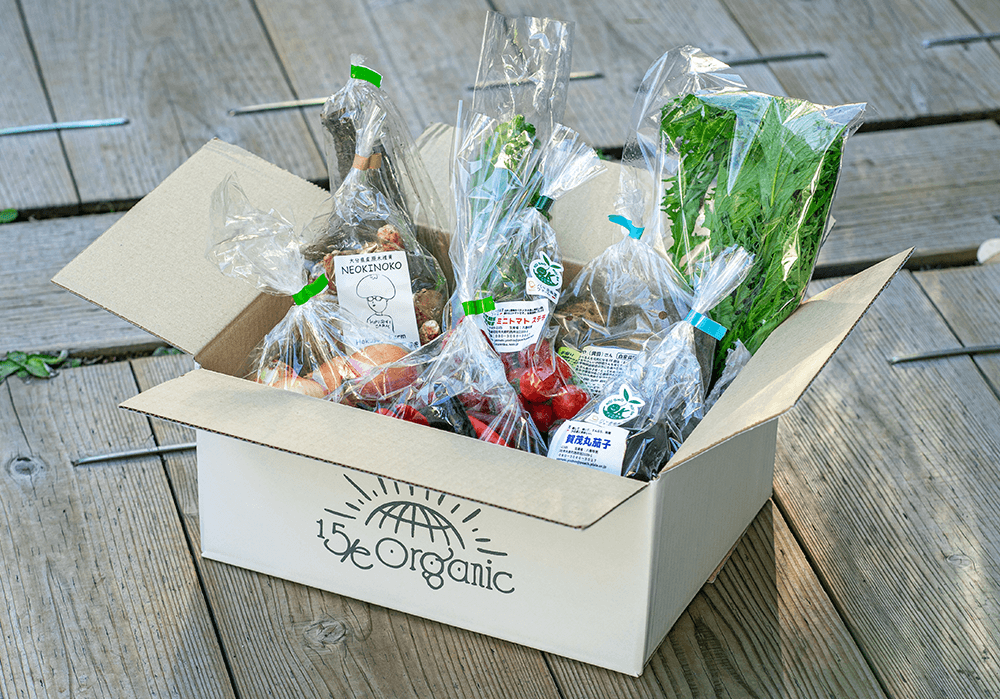 自然栽培の野菜が勢ぞろい！管理栄養士厳選の”季節のお野菜セット”をご紹介