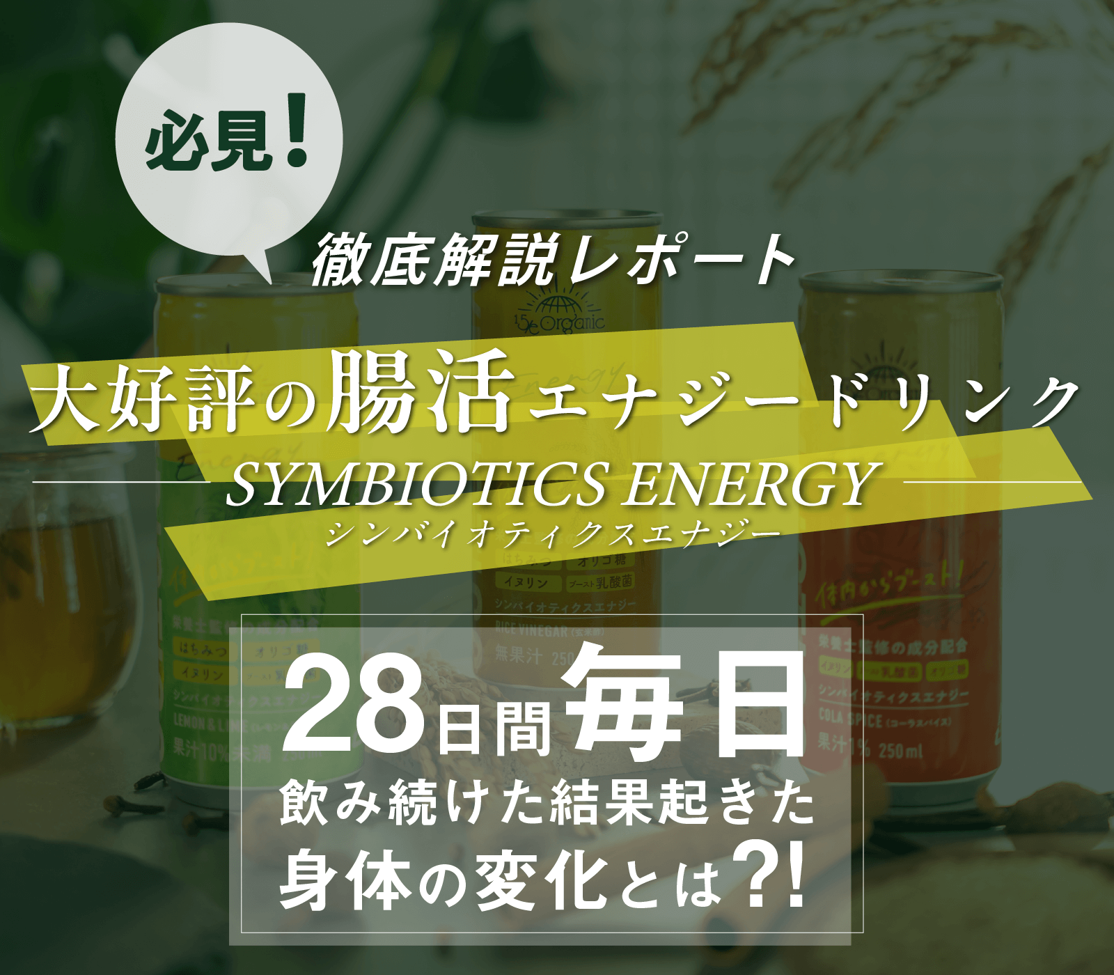 必見！徹底解説レポート！大好評の腸活エナジードリンク「Symbiotics Energy（シンバイオティクス エナジー）」28日間毎日飲み続けた結果起きた身体の変化とは？！