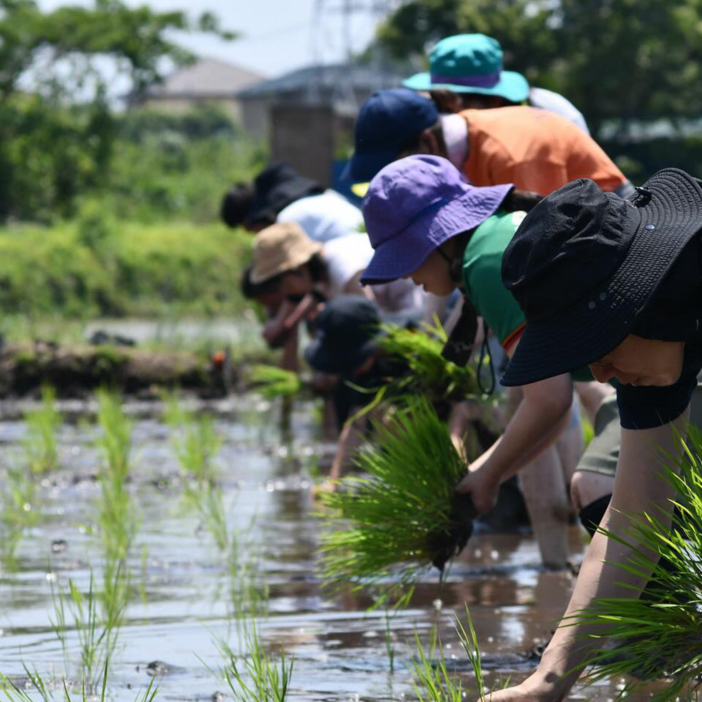 
                  
                    15/e organic×大和の台所　自然栽培米「古今赤城米」の田植え体験イベント！2026年6月27日(土)開催！ 「食事＋お土産米付」！FRIENDS会員は500円OFF！
                  
                