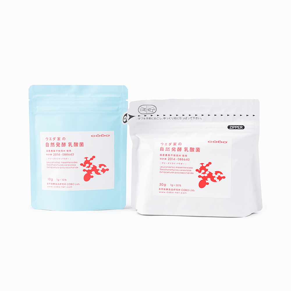【COBO】乳酸菌　(10包/30包)
