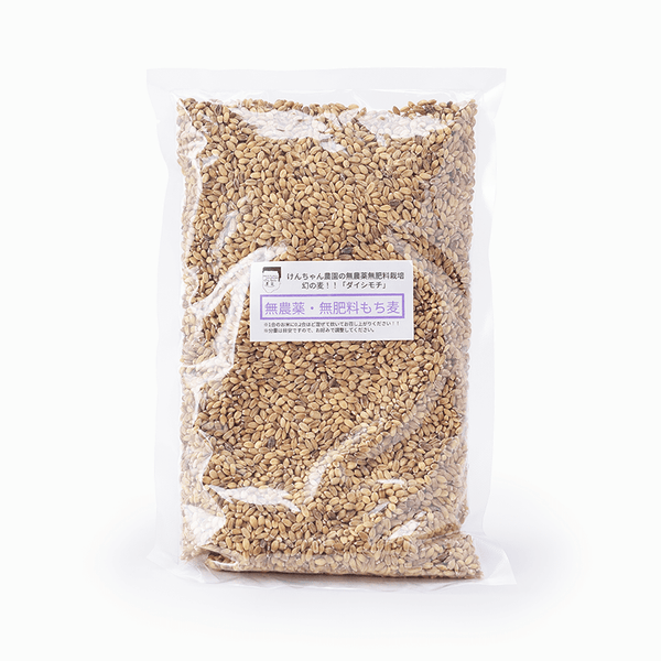 自家栽培　もち麦ダイシモチ15kg もち麦（ダイシモチ）【無農薬・無肥料・天日干し】 ののま自然