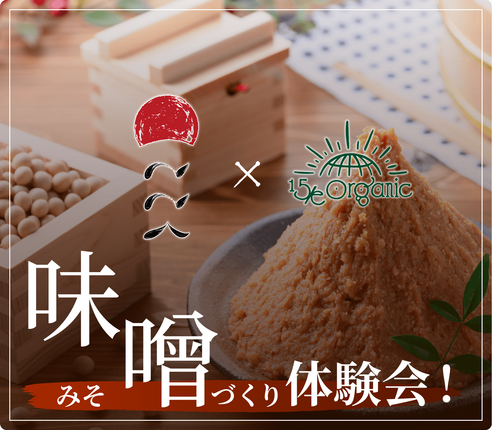 大人気の"味噌"【ここく】とコラボイベント！麦味噌づくり体験会