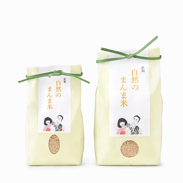 自然栽培 玄米 14kg 2024年産 コシヒカリ 2024年産新米】富山県産 無農薬・無肥料 自然栽培玄米