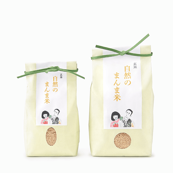 自然栽培 玄米 14kg 2024年産 コシヒカリ 紙袋 自然栽培 玄米 14kg 2024年産 コシヒカリ 紙袋