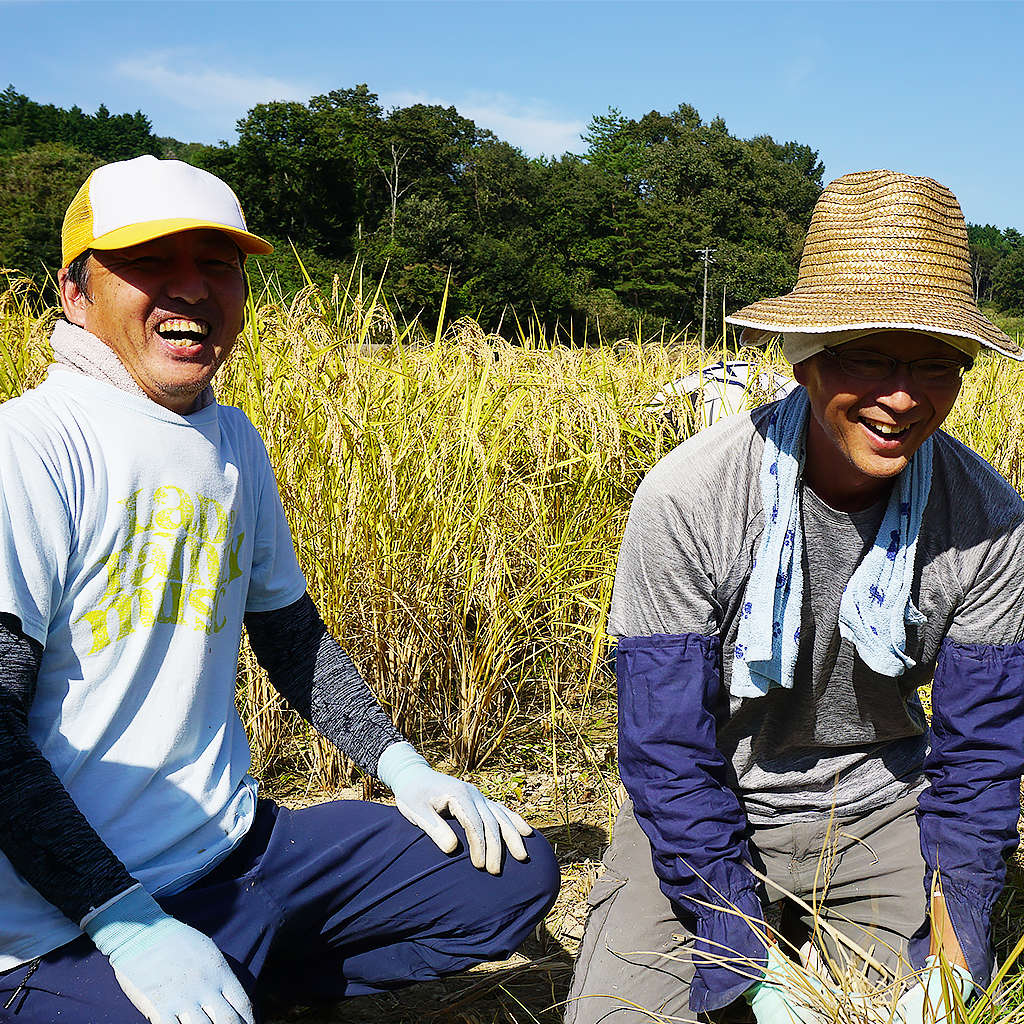 
                  
                    【三穂の郷農園】そのまま食べて味噌 500g
                  
                