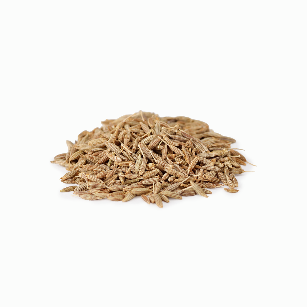 
                  
                    【N.HARVEST】有機クミンシード 20g
                  
                