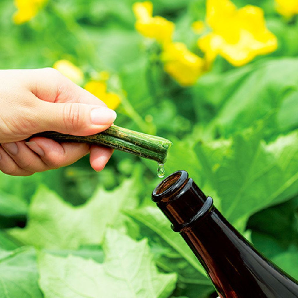 Natures for】ヒーリングローション – 15/e organic