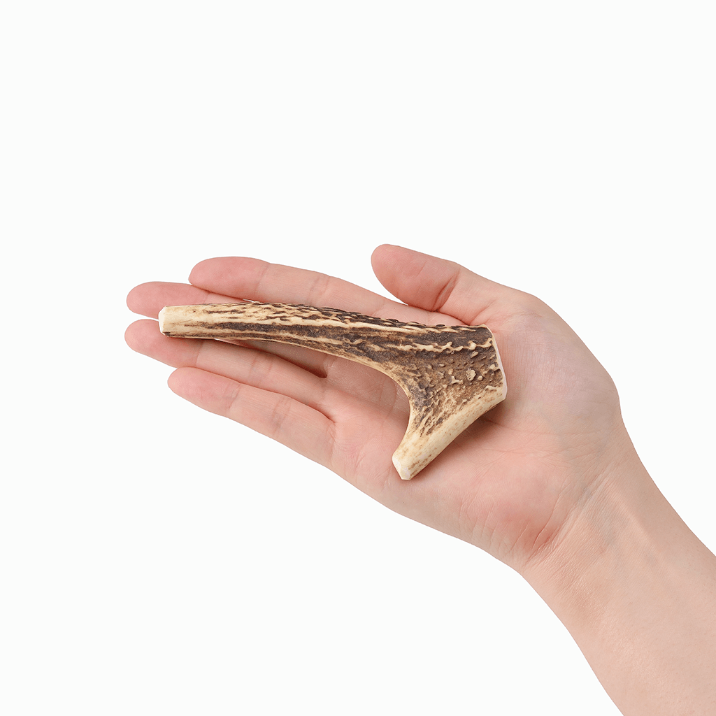 
                  
                    【SHIRO'S PET PRODUCTS】ペットのおやつ Honshu Deer Antlers（本州鹿の角）1本
                  
                