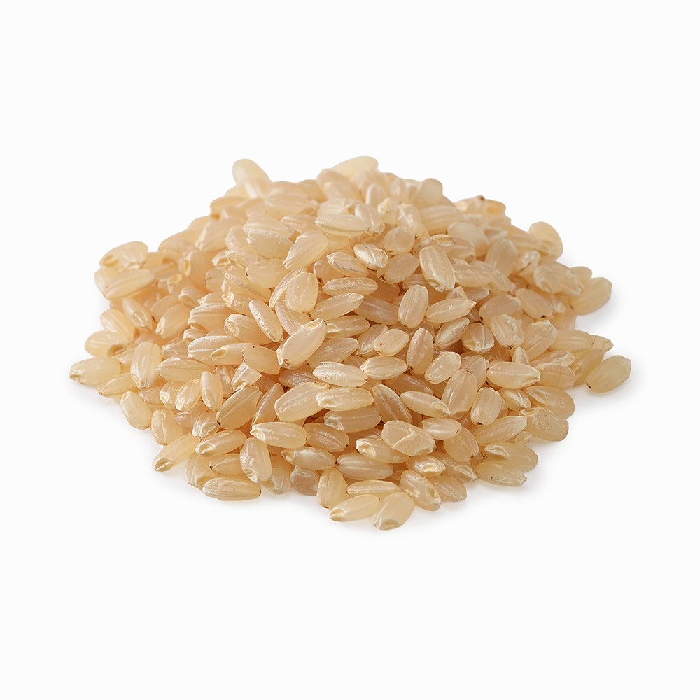 
                  
                    【杉本一詩】“新米”2025年朝日 玄米（静岡県産）1kg/2kg
                  
                