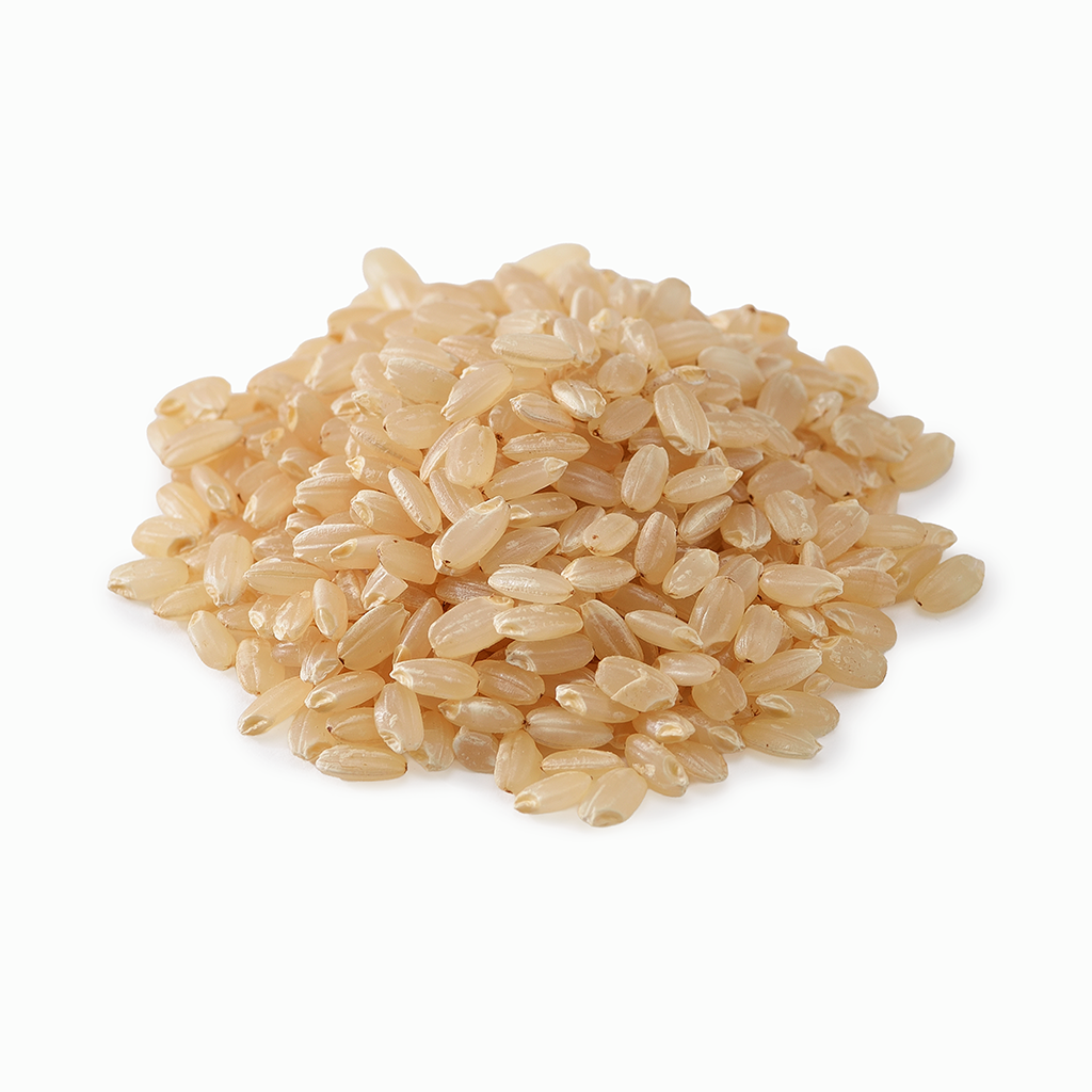 
                  
                    【杉本一詩】“新米”2025年朝日 玄米（静岡県産）1kg/2kg
                  
                