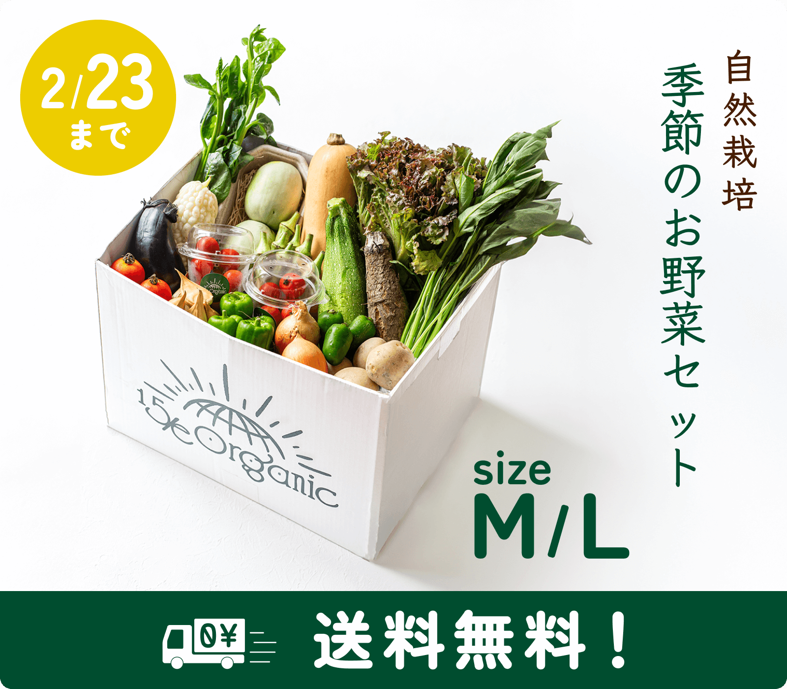 季節のお野菜セット送料無料キャンペーン2/23まで開催