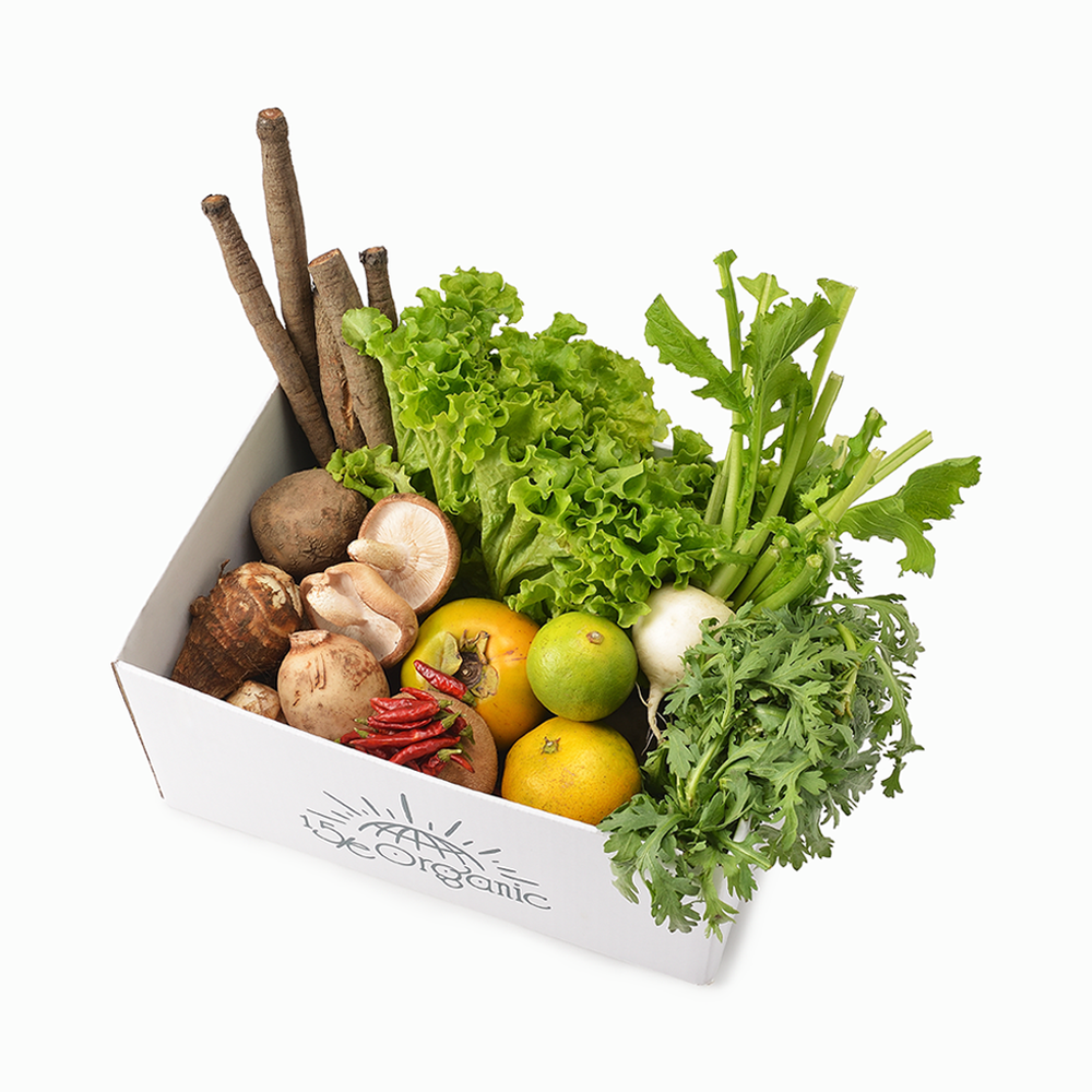 【15/e organic】【お得な定期便】管理栄養士監修！自然栽培のお野菜セット（L/M）