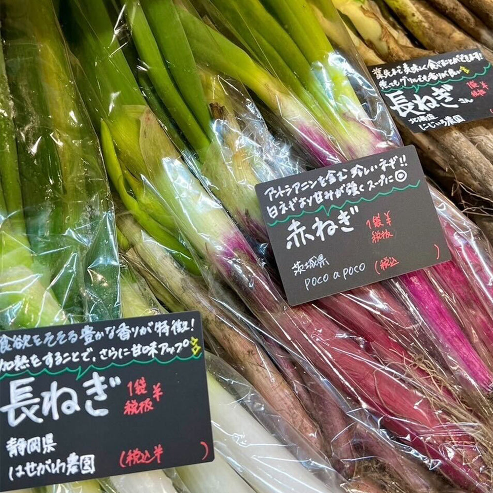 
                  
                    【15/e organic】【お得な定期便】管理栄養士監修！自然栽培のお野菜セット（L/M）
                  
                